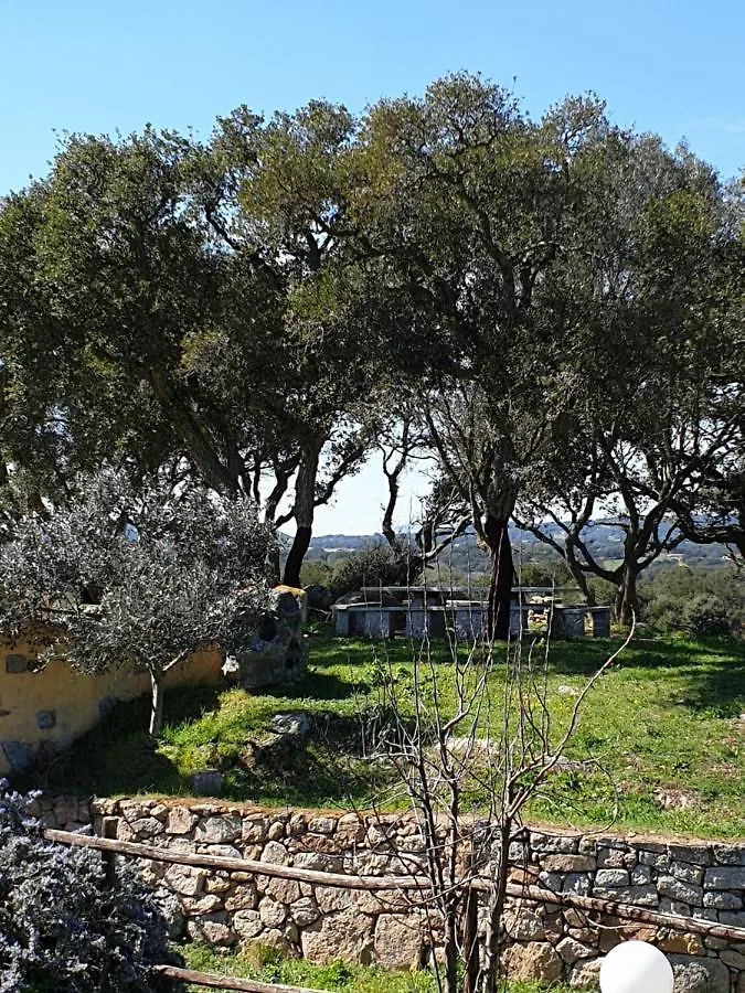 Bed & Breakfast Cantina Perandria Monti